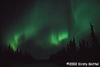Green Aurora