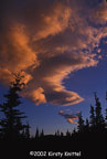 Healy Skies