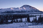 Moon O'er Denali Highway